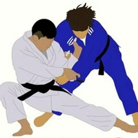 Kyu Shin Do Ryu Judo Club