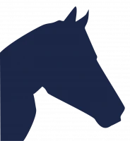 Carpe Diem Centre Equestre