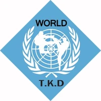 LANGLEY WORLD TAEKWONDO