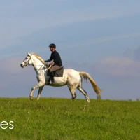Palmers Riding Stables