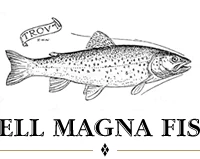 Amwell Magna Fishery