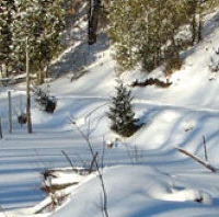 Glenelg Nordic SC Trails