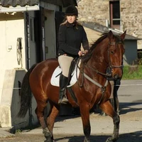 Attelage De Kastell Dinn