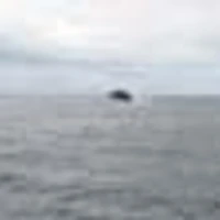 Port Renfrew Fishing Adventures