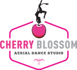 Cherry Blossom Aerial Dance Studio