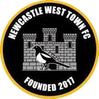 NCW Town FC, Ballygowan Park, The Demesne