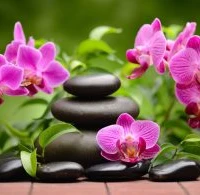 Association Qi Gong Et Activités De Bien-Être