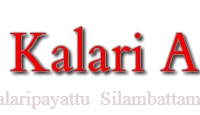 The Kalari Academy (Little India)