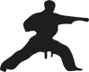 Karate training Class { Funakoshi shotokhan karate-Do association }