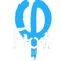 Flow - Academy Of Motion | Albany