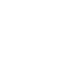 Insight Body and Mind