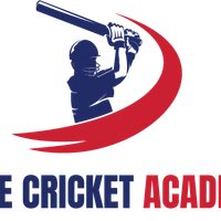 Pure cricket