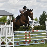 CAVALIERS DE L ECURIE BOI