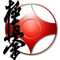 Kyokushin Karate Torquay