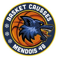 BCM48 - Basket Causses Mendois