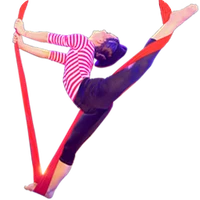 Toronto School of Circus Arts