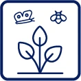 Royal Automobile Club, Woodcote Park Country Club