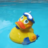 Municipal Pool