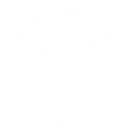 Brother Boxing