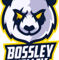 Bossley Volley