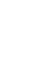 honfleur gym - club de gymnastique