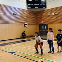 Vancouver Volleyball League