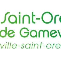 Basket Saint-Orens