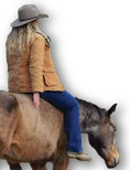 Tempo Horsemanship
