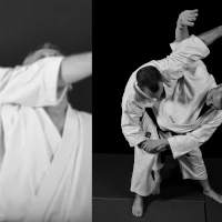 Dojo