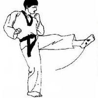 Som Taekwondo