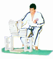 Celis TaeKwon Do Academy
