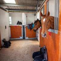 Downclose Stables