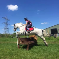Ryders Farm Equestrian Centre