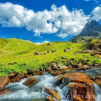Kashmir Travelling Voyage