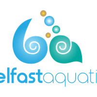 Belfast Aquatics