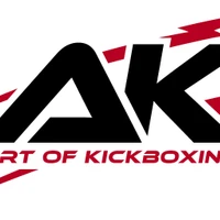 Art Of Kickboxing