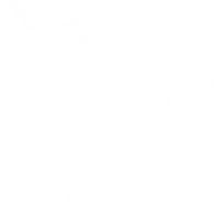 Doncaster Knights RFC