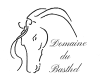 Les Écuries Du Basthel