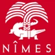 Association Nîmes Olympique