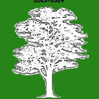 Arbre De Vie Yoga
