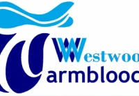 Westwood Warmbloods