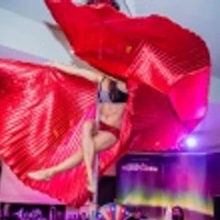 POLE DIVA art vertical dance