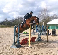 ECURIE DU PLONGEON