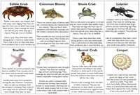 Devon Fishing Guides