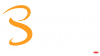 Schools Of Kung Fu Paris - Iwka - Wing Chun