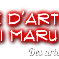 cole darts martiaux Chisaii Maru