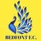 Bedfont Football & Social Club
