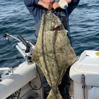 Victoria Fishing Charters