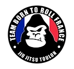 Jjb Toulon | Jiu Jitsu Brazilian | Team Btr