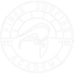 Pines Surfing Academy Surf School Wollongong